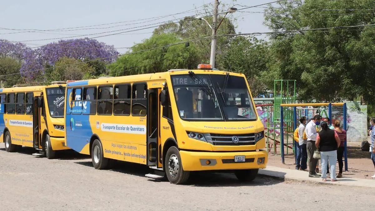 Transporte municipal